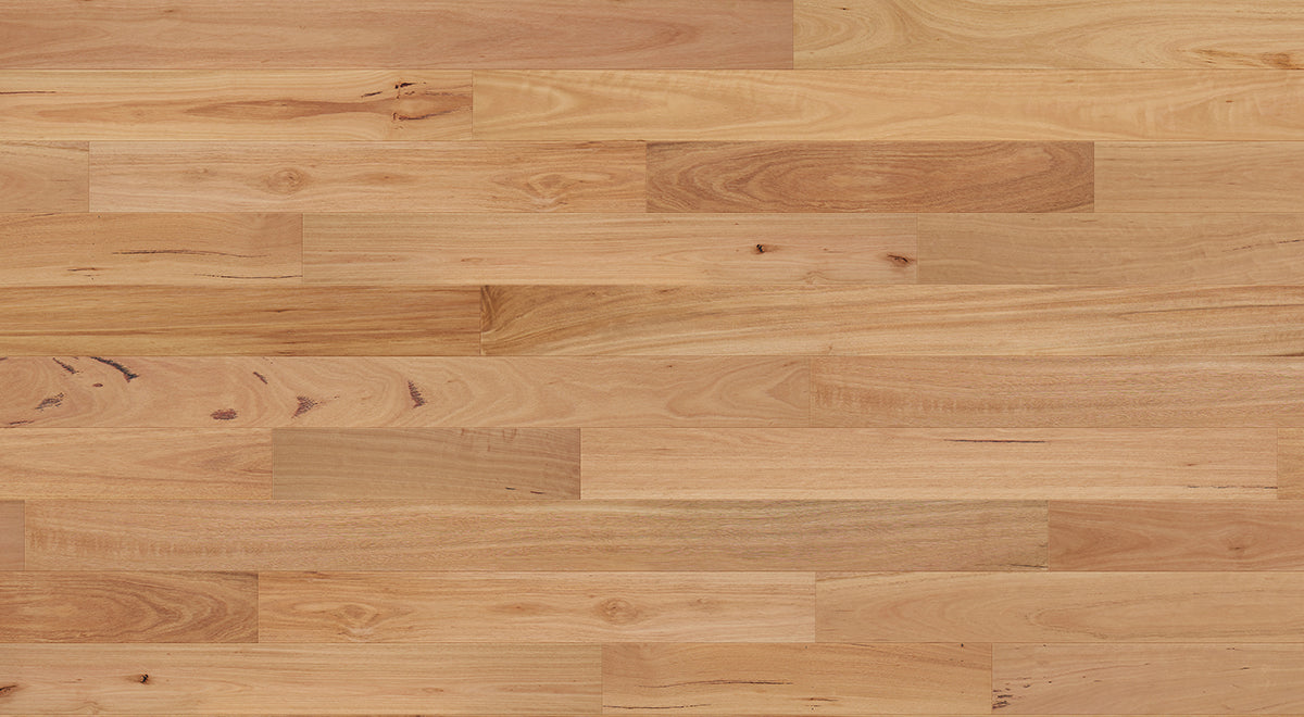Australian Heritage Engineered Timber 14mm - Blackbutt – room scene 3