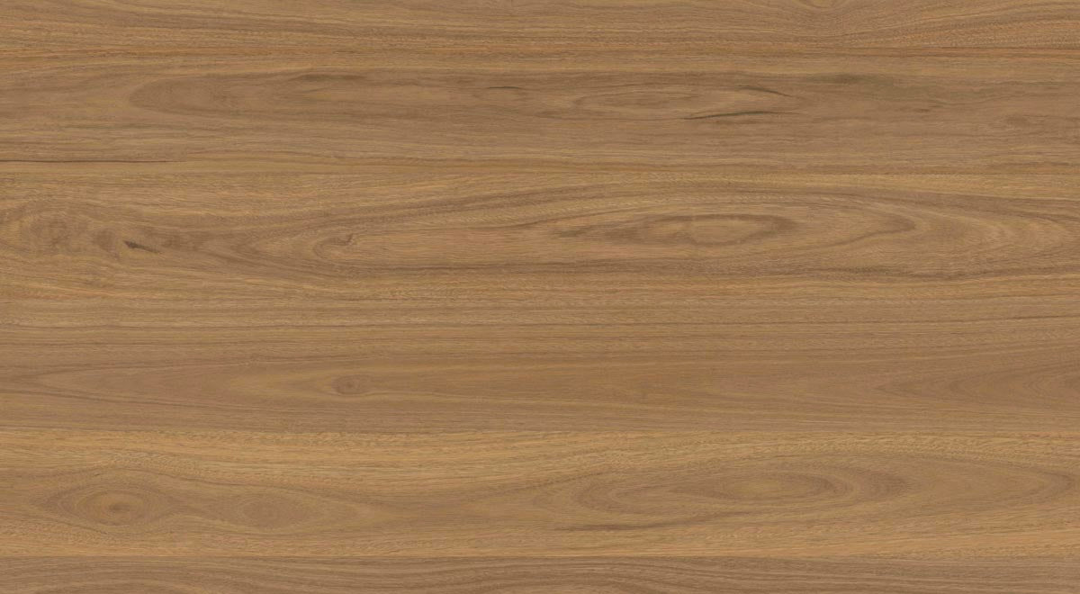 Everlast Laminate 10mm - Atlantic Spotted Gum – room scene 4