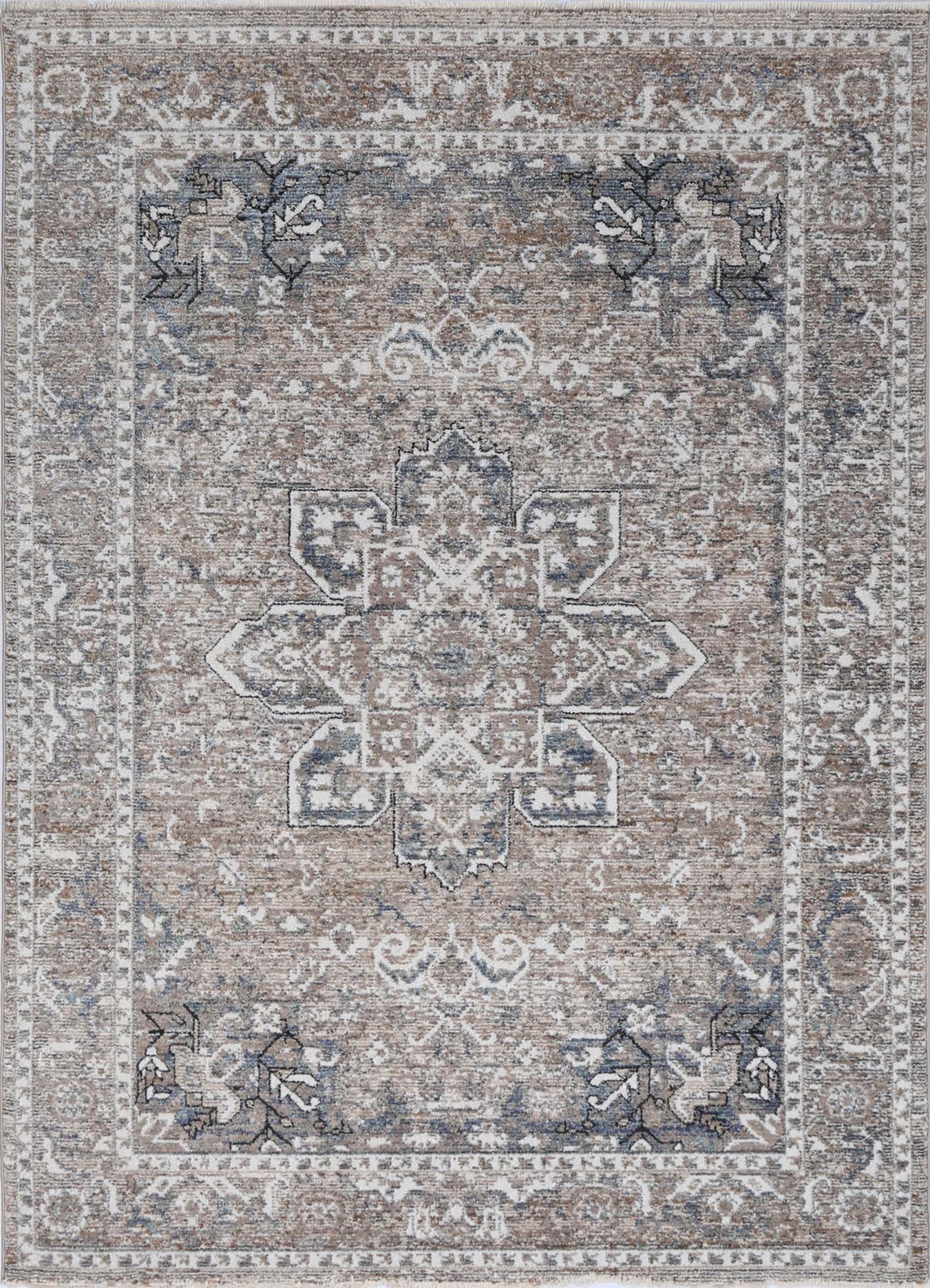 Baile Virginia Medallion Transitional Ash Rug