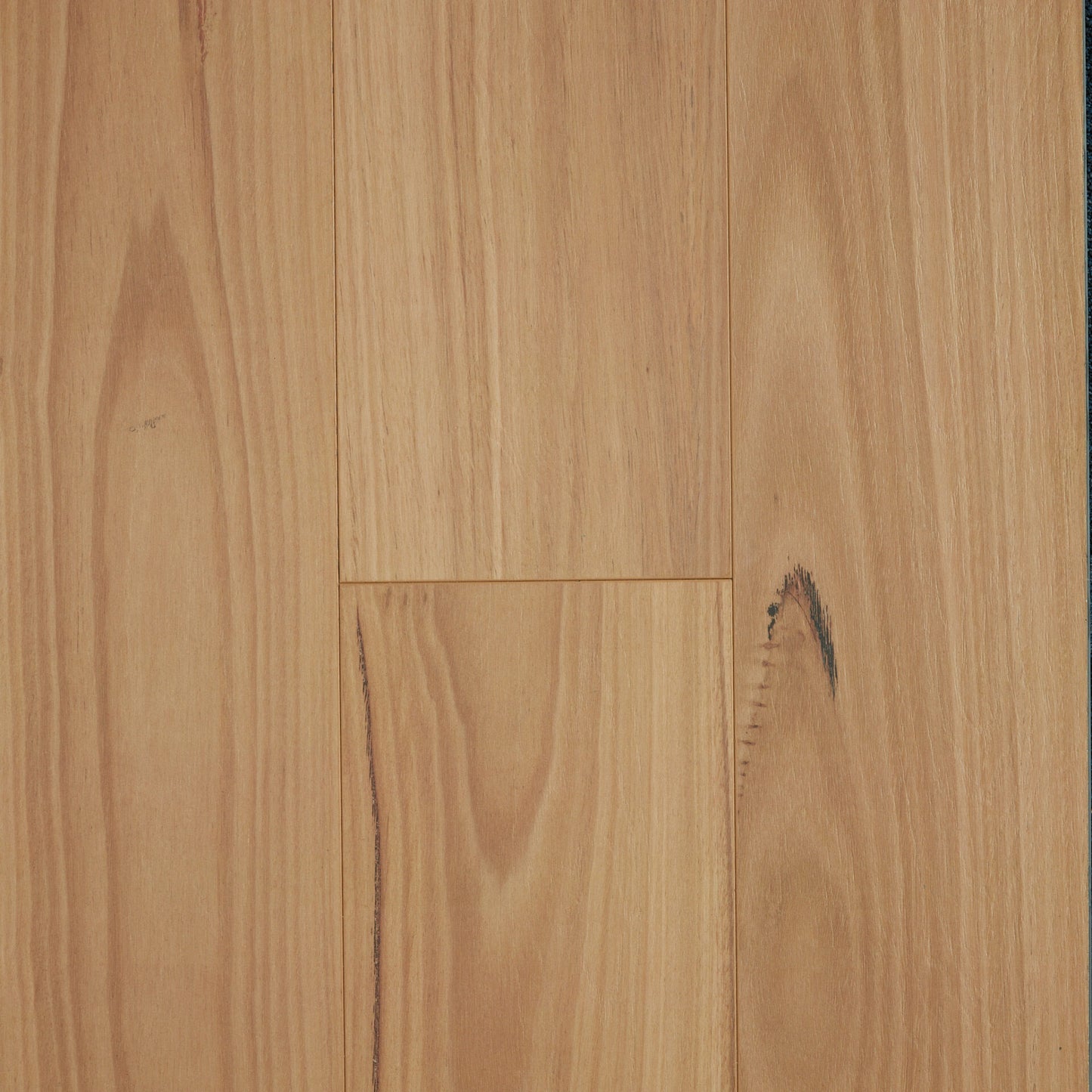 Oakleaf HD Laminate - Blackbutt 8mm
