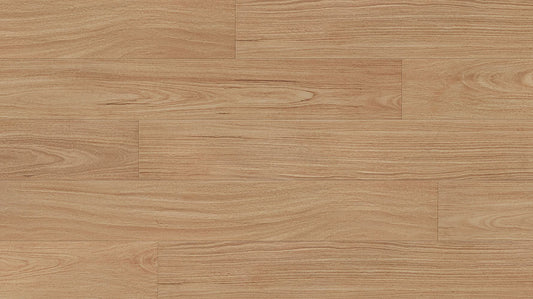 Profuse Laminate 12mm - Camellia Blackbutt – swatch