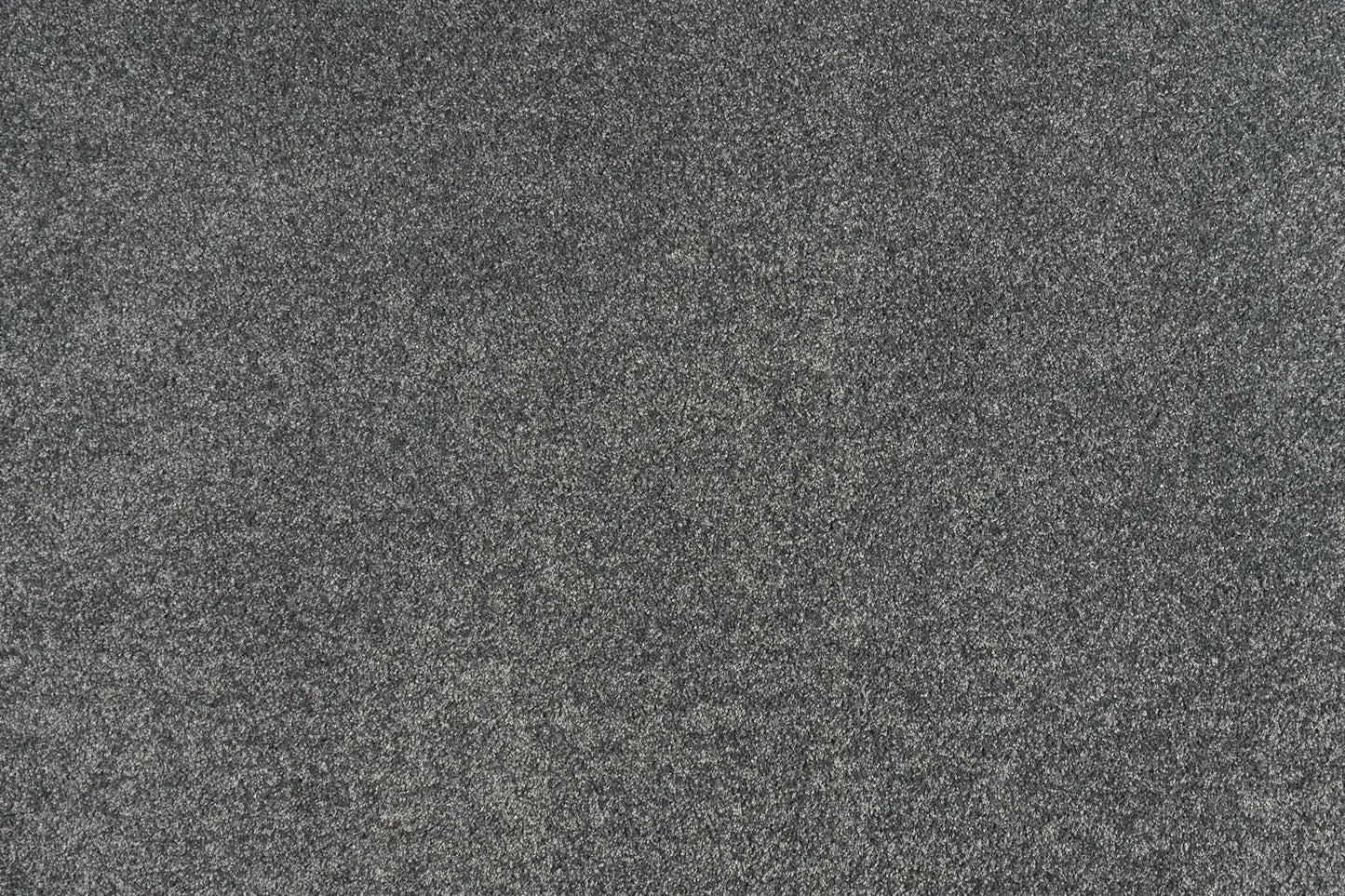 Scarlet carpet in Nemesia