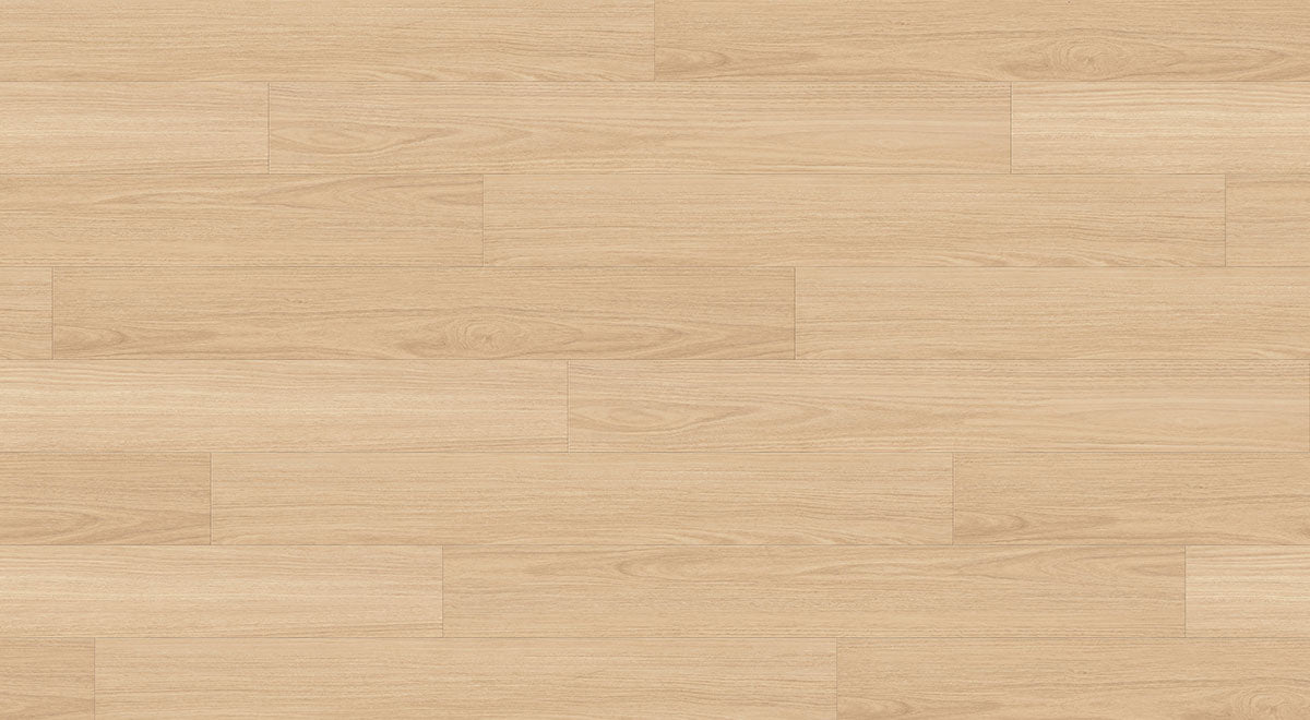 Profuse Laminate 12mm - Southern Blackbutt – room scene 2