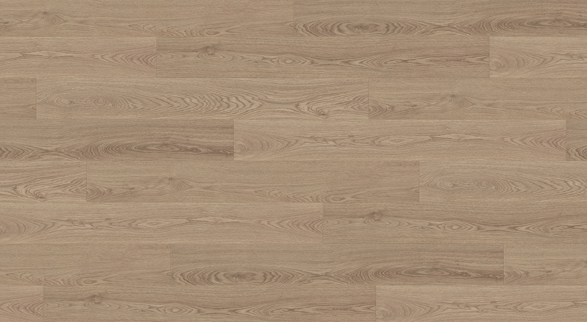 Profuse Laminate 12mm - Lomandra – room scene 2