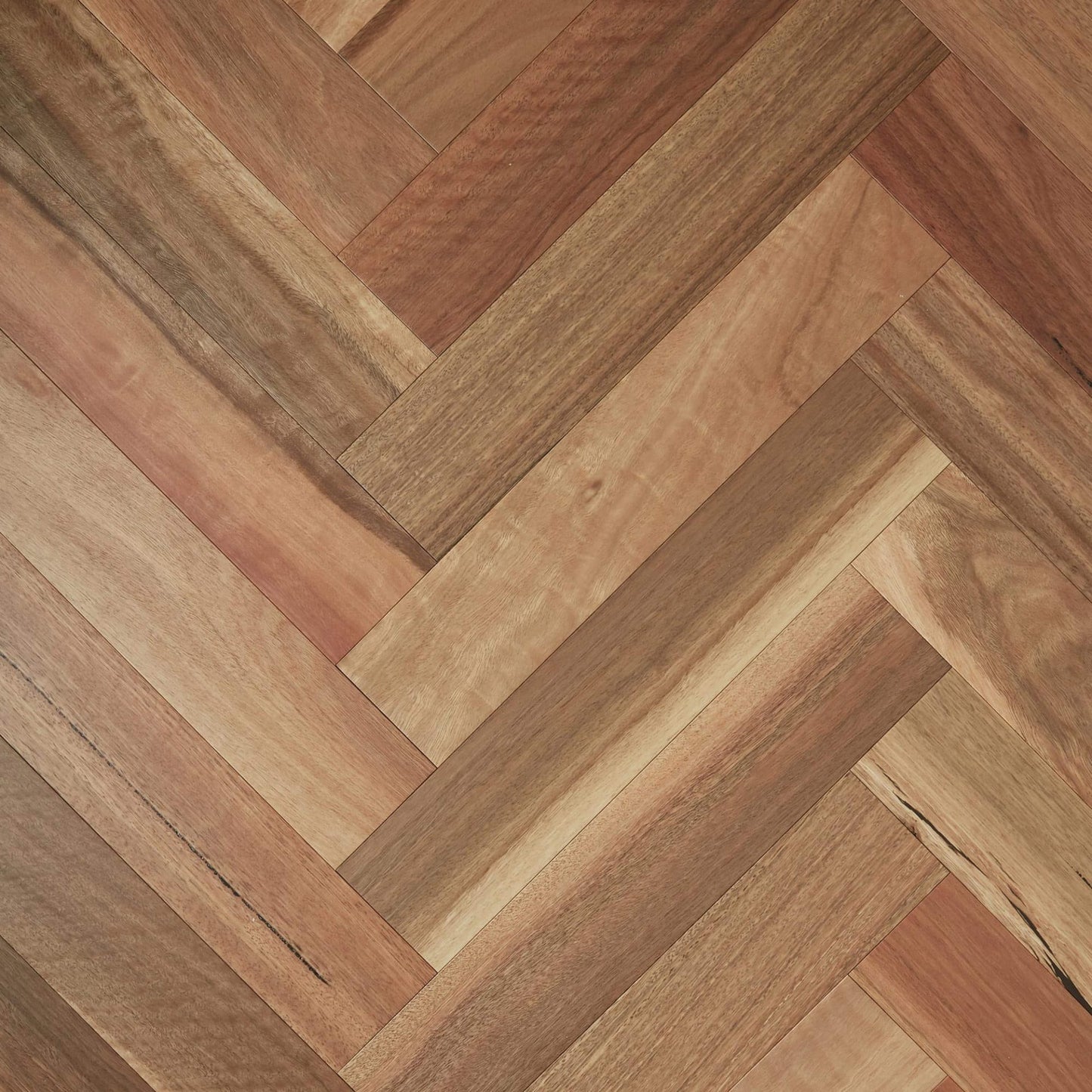 Fiddleback Australian Hardwood - Herringbone Spotted Gum