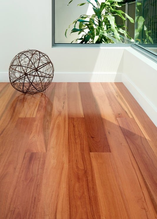 Select Australian Timber - MB Syd Blue Gum 135