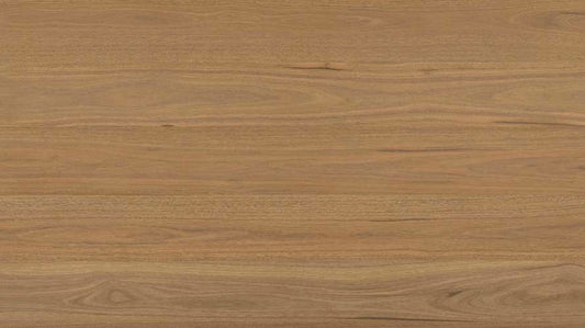 Everlast Laminate 10mm - Atlantic Spotted Gum – swatch