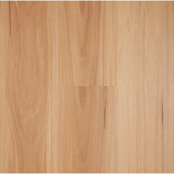 Iconic Hybrid - Blackbutt