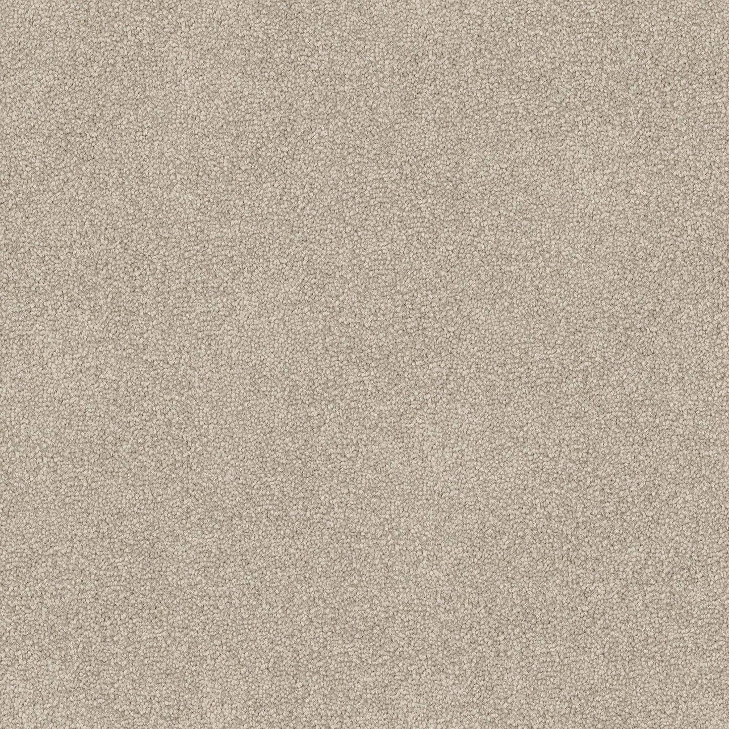 Mountain Chalet carpet in Cloud Burst