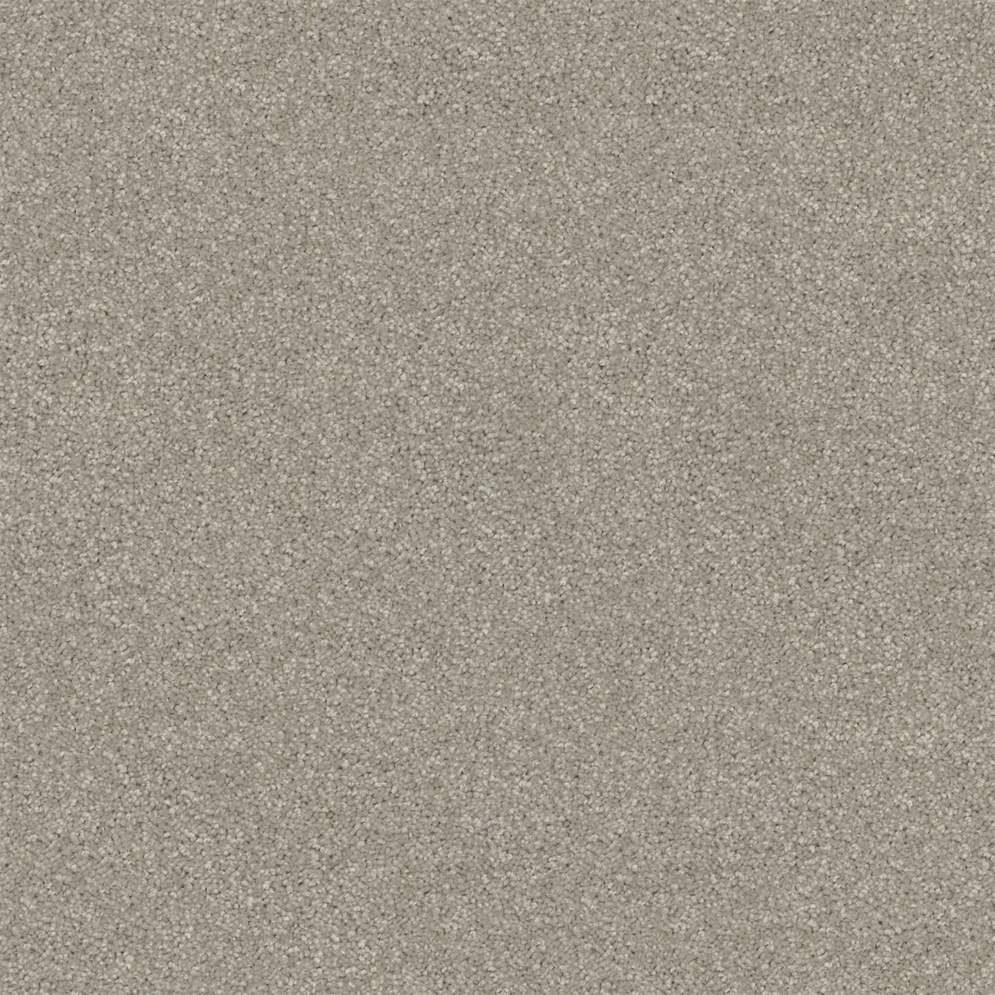 Revive carpet in Moonshine