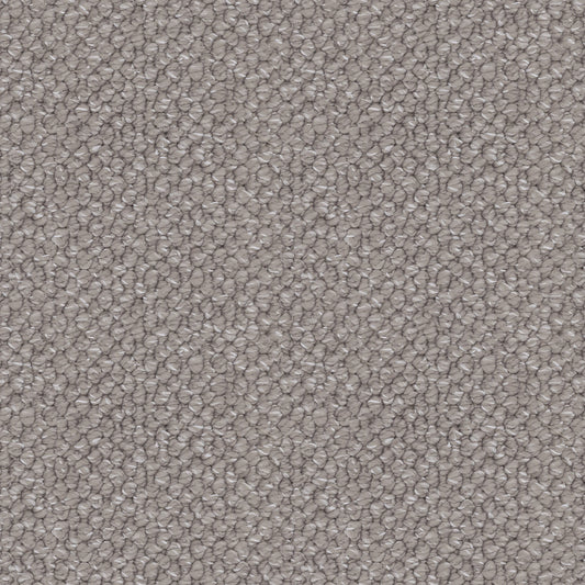 Finesse carpet in Tailored