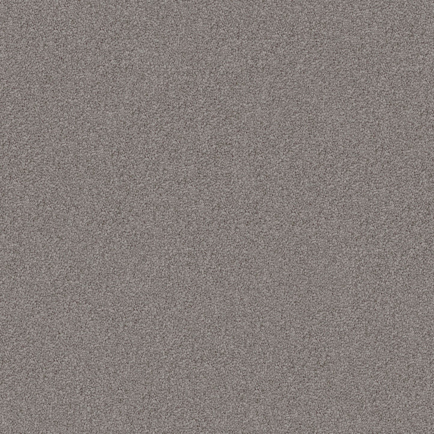 Domain Rise carpet in Quicksilver