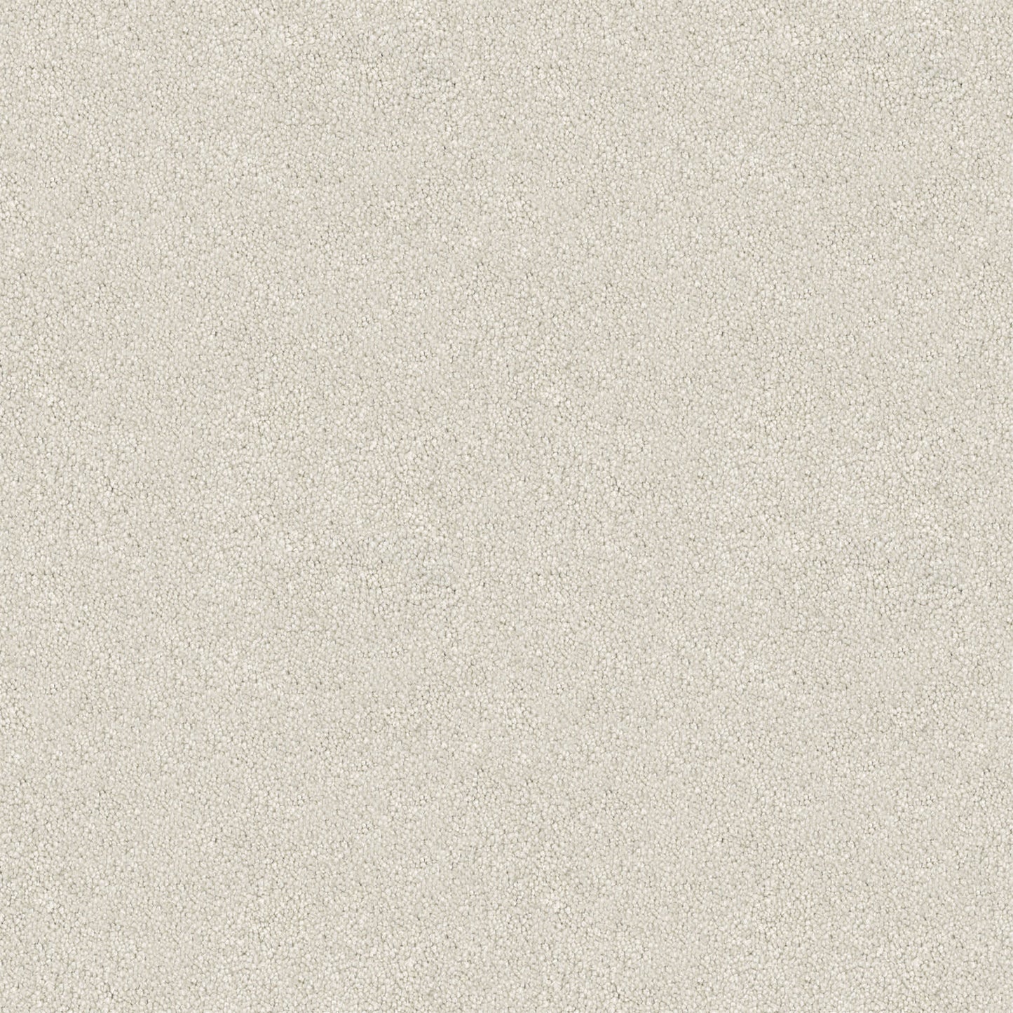 Velura carpet in Bare Canvas