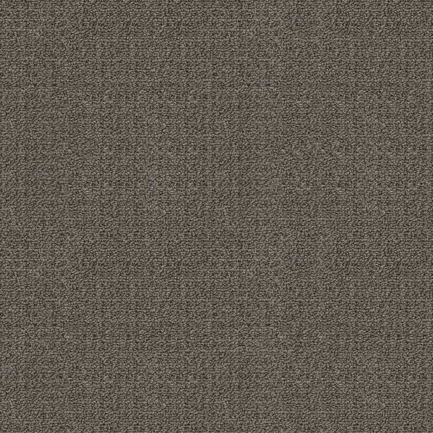 Revolution carpet in Funghi