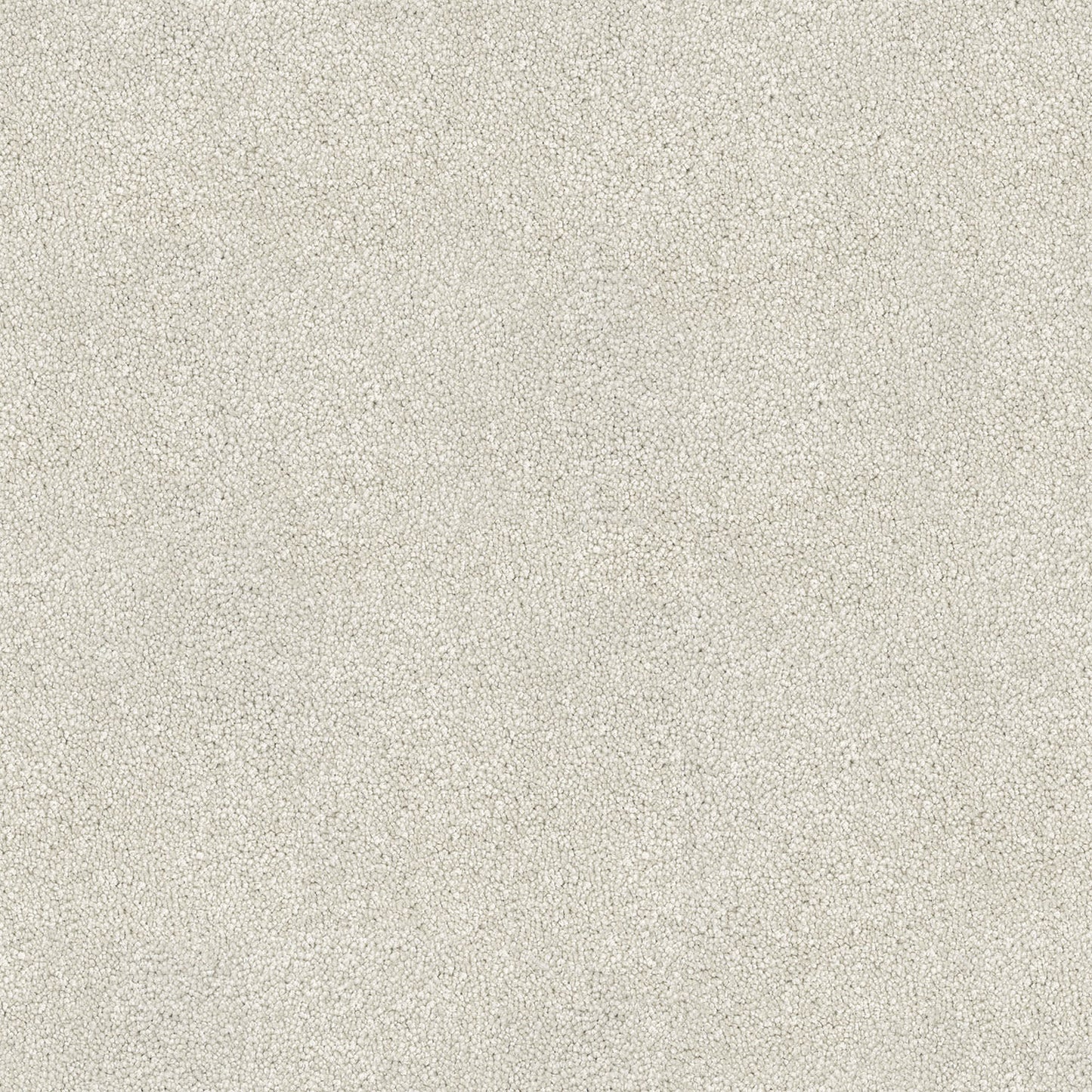 Coonawarra carpet in Cream