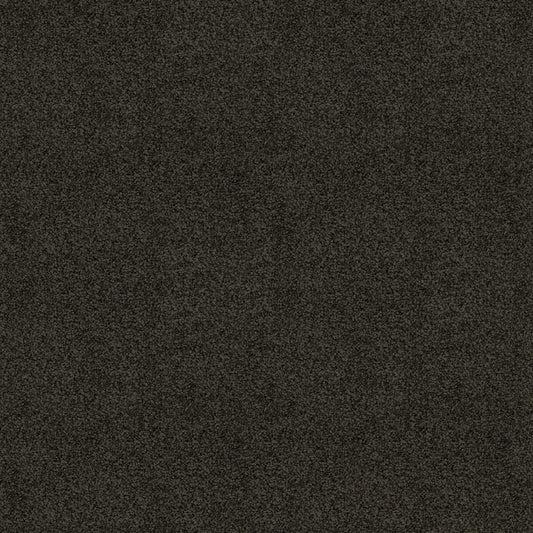 Silk Cloud carpet in Coal