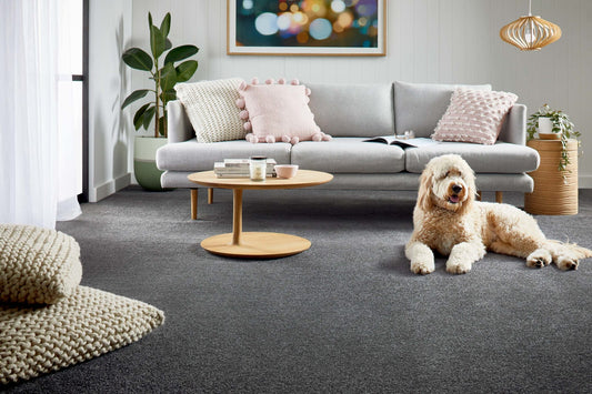 Entertaining carpet by Redbook