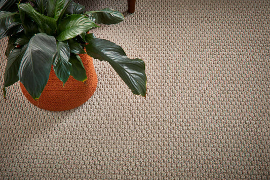 Kashmir carpet by Redbook – room scene