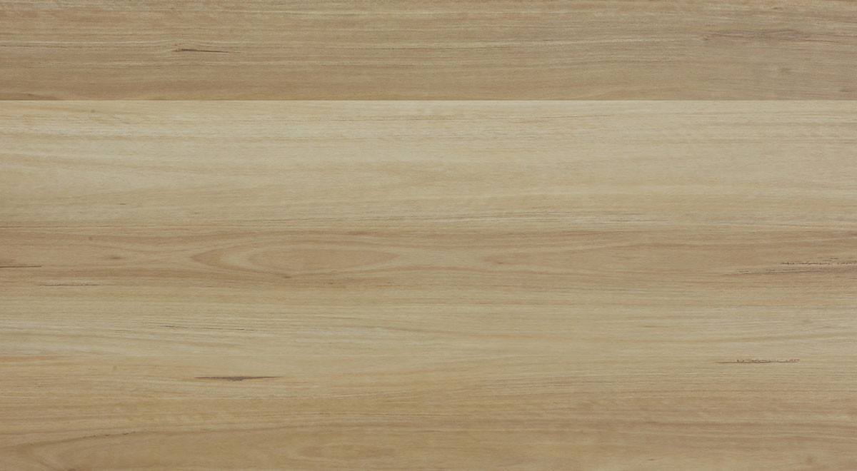 Superior Hybrid 9mm - Coastal Blackbutt – room scene 2