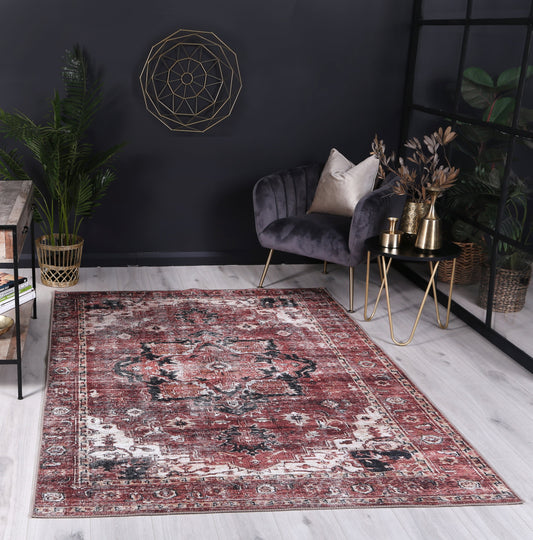 Distressed Vintage Cezanne Terracotta Area Rug