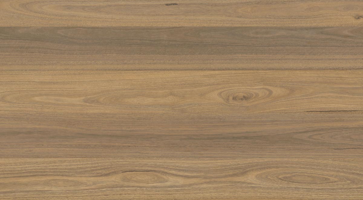 Everlast Laminate 10mm - Atlantic Spotted Gum – room scene 2