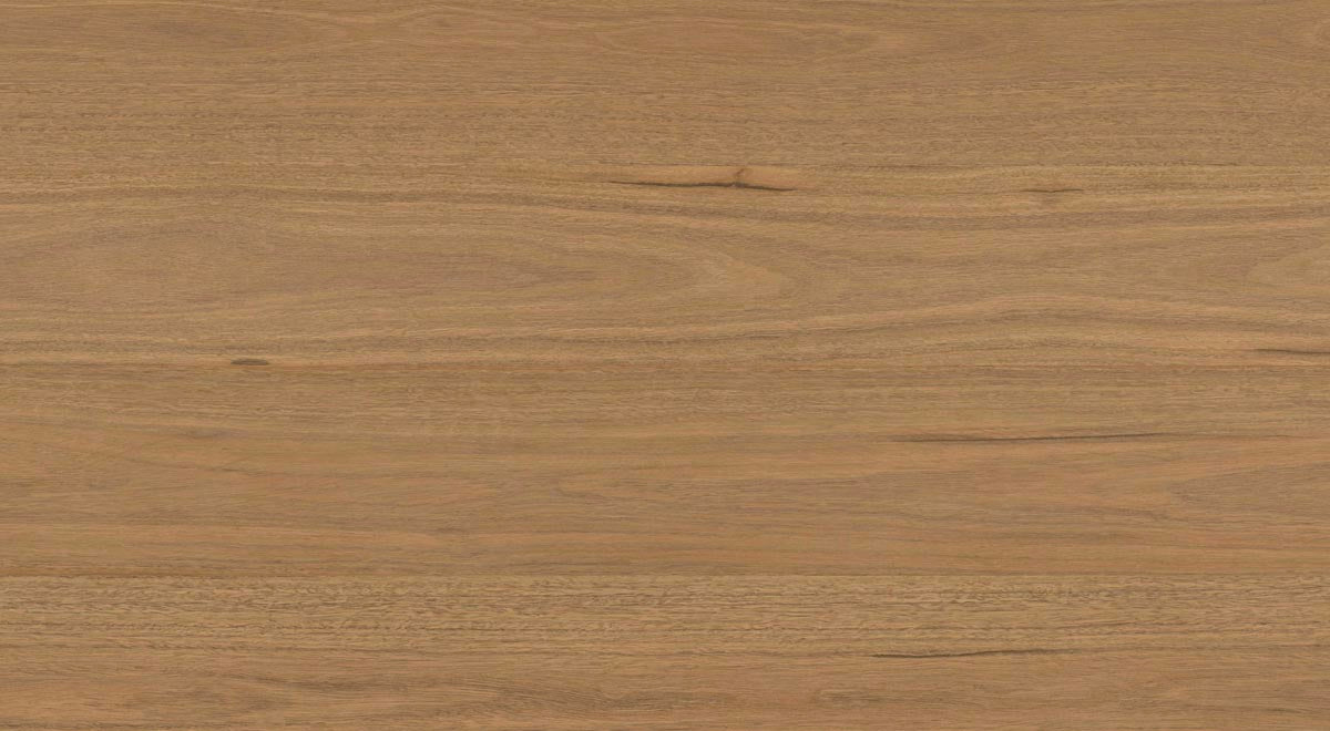 Everlast Laminate 10mm - Atlantic Spotted Gum – room scene 3