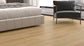 Everlast Laminate 10mm - Zebra Ark – room scene 1