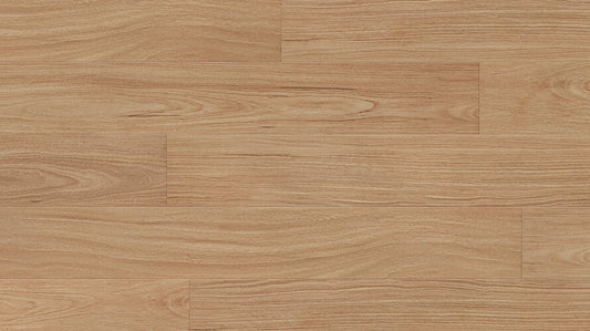 Magnitude Laminate 8mm - Norseman Blackbutt – swatch