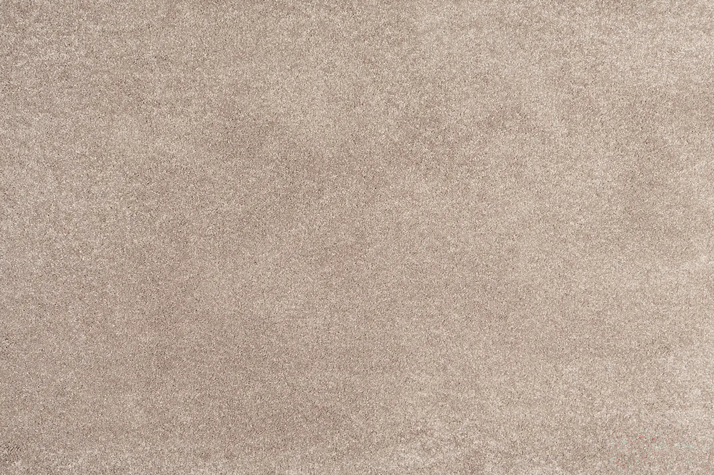 Alisa carpet in Cosiness