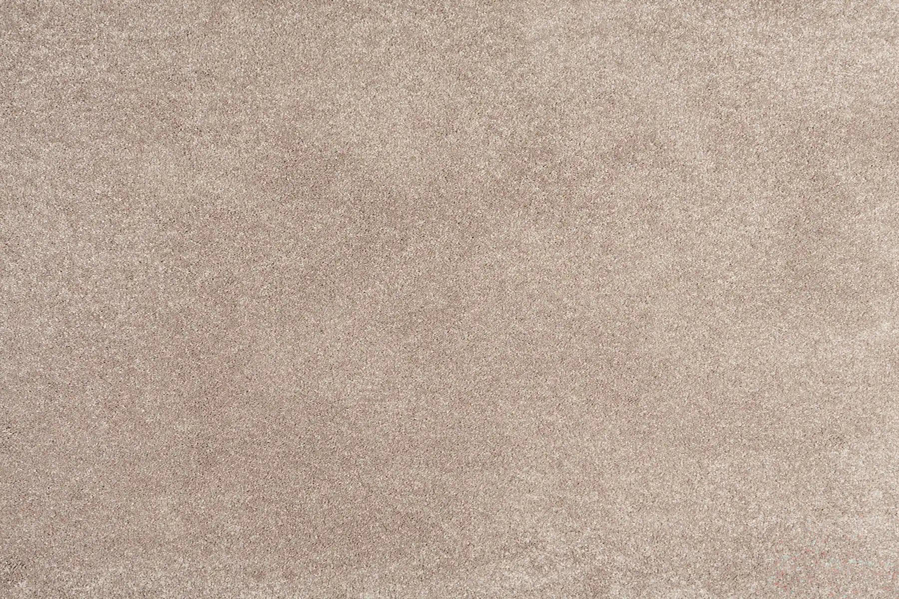 Alisa carpet in Cosiness