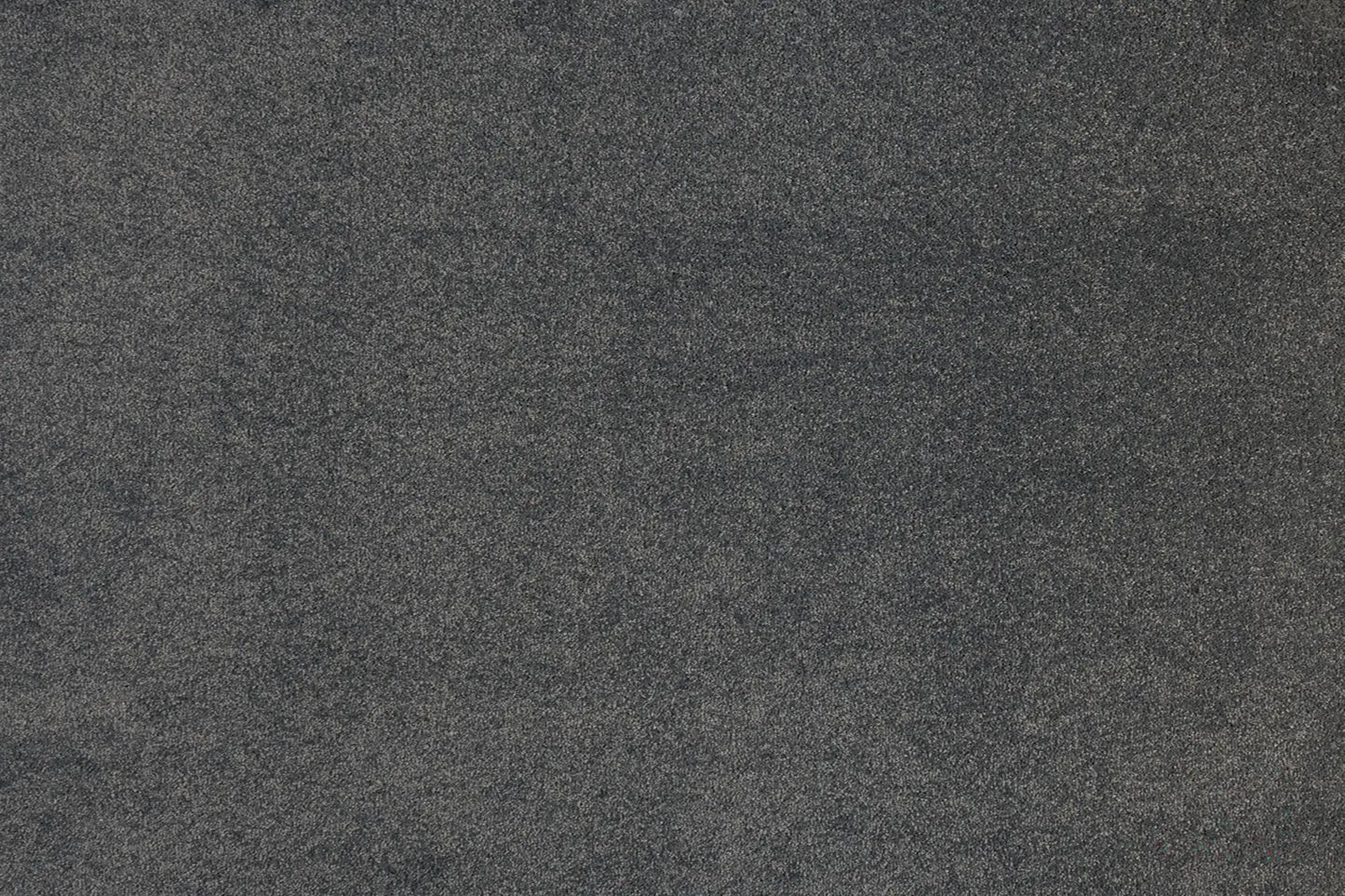 Alisa carpet in Pleasant