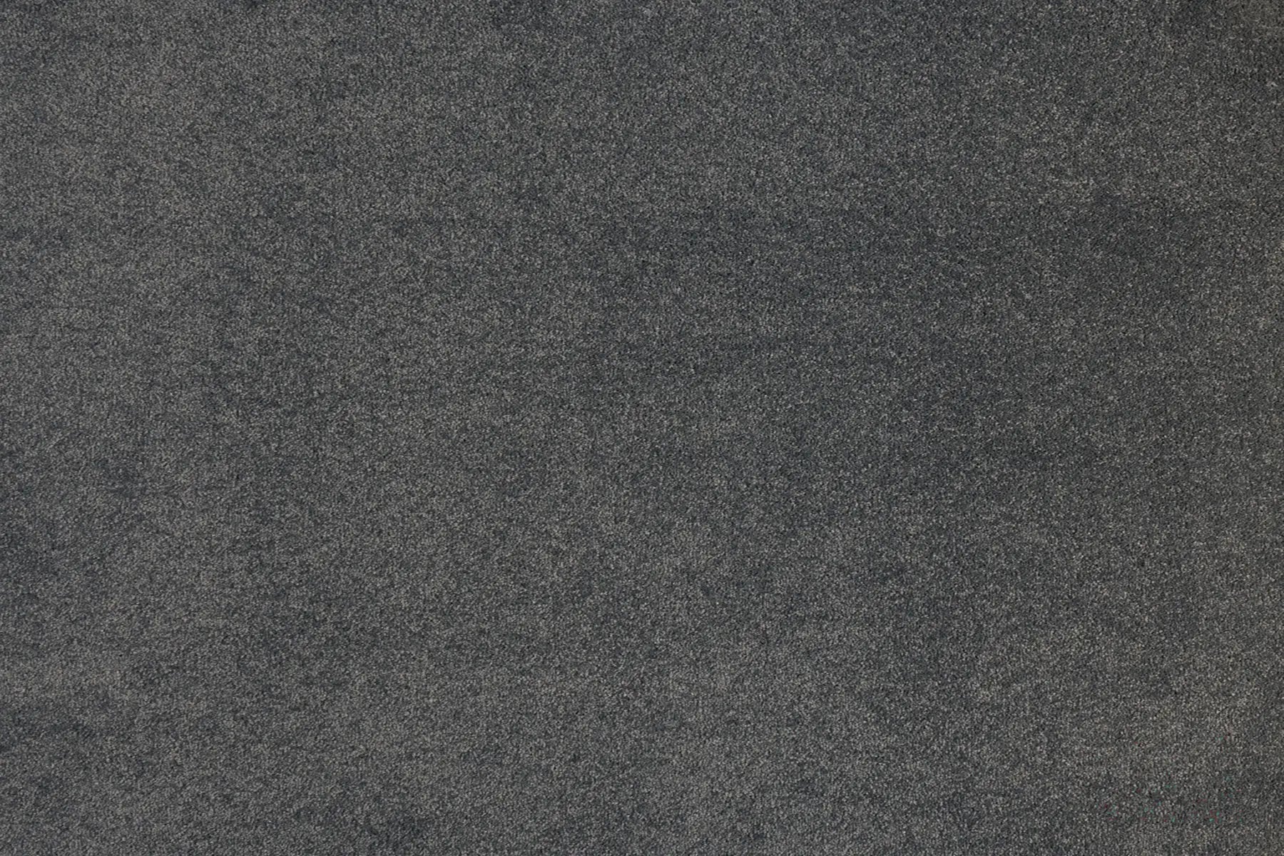 Alisa carpet in Pleasant