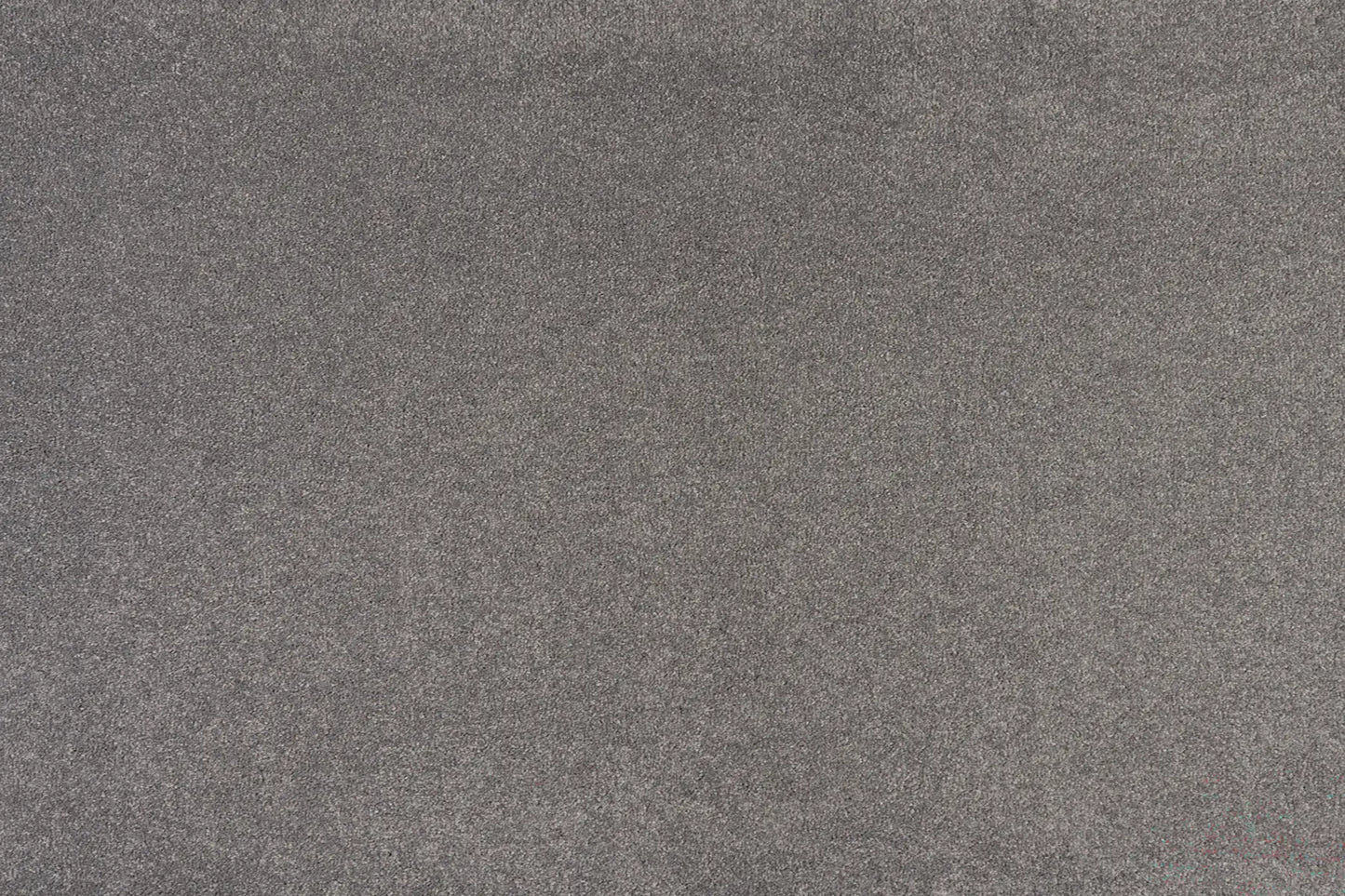 Alisa carpet in Satisfaction