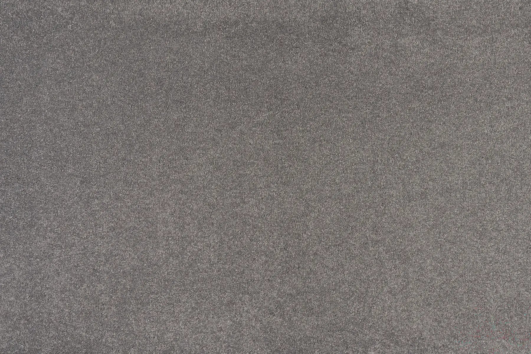 Alisa carpet in Satisfaction