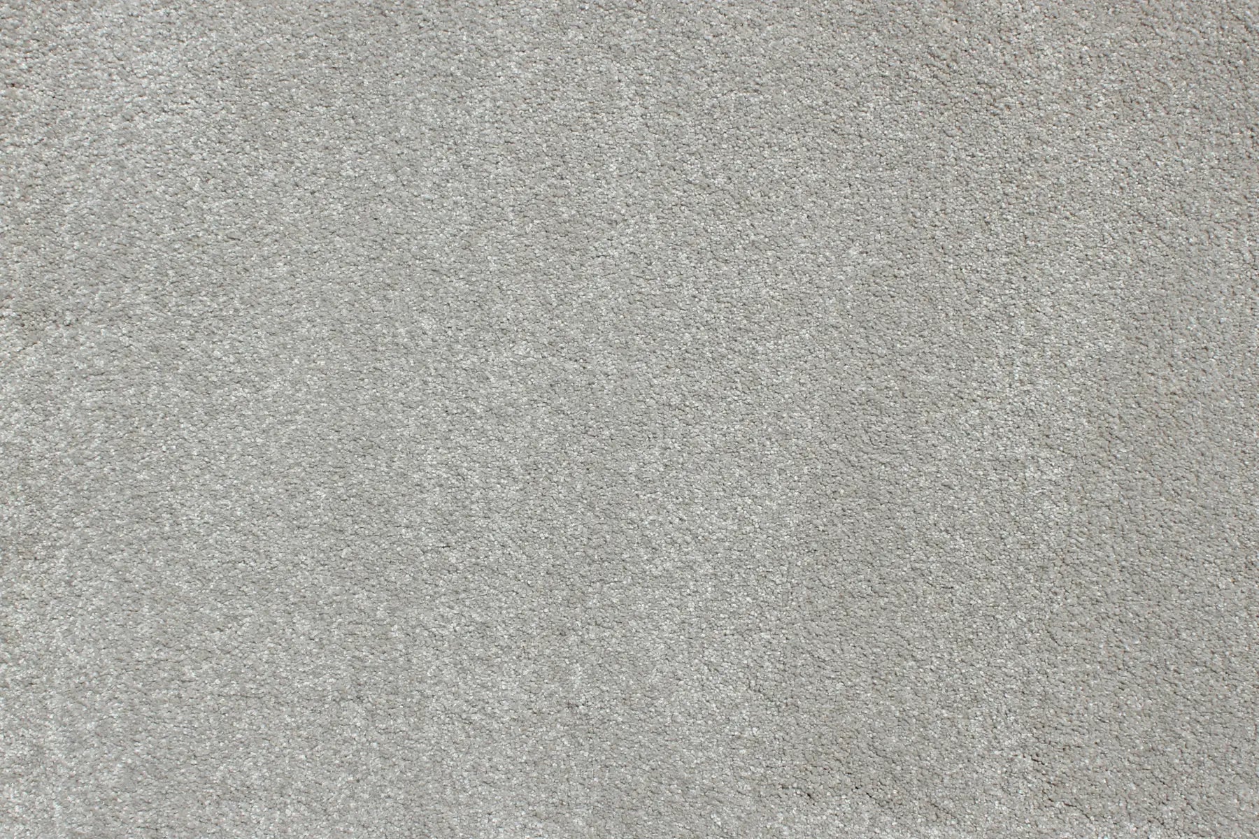 Charmeuse carpet in Amboise