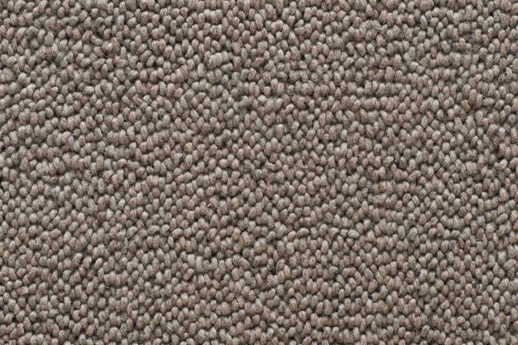 Coco carpet in Anani
