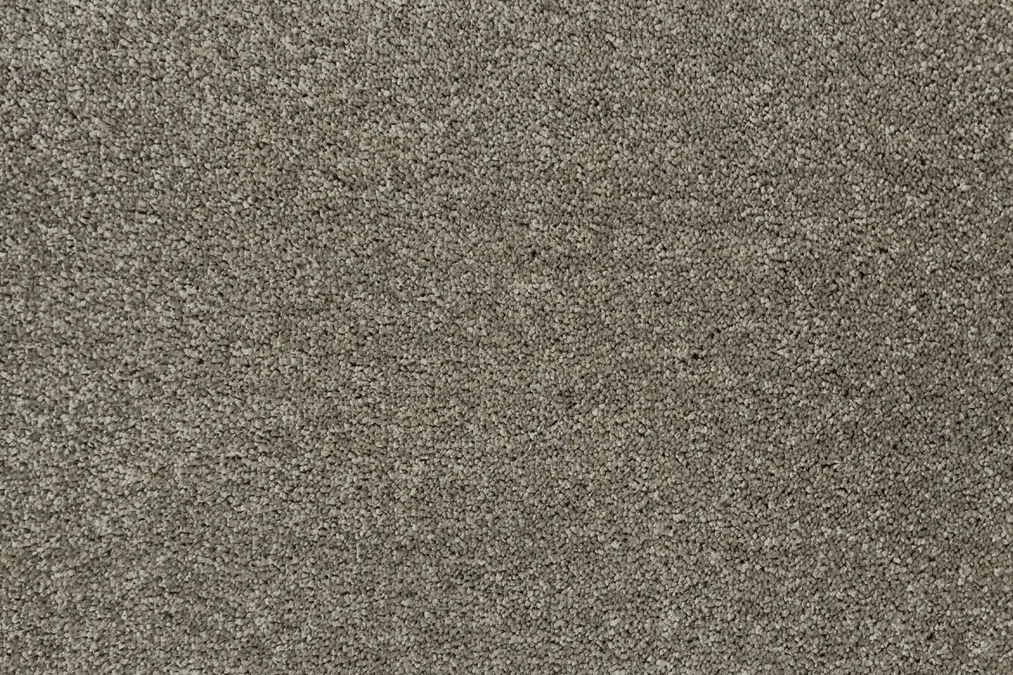 Arden carpet in Berkshire