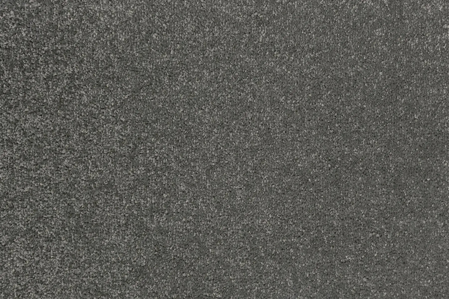 Arden carpet in Bristol