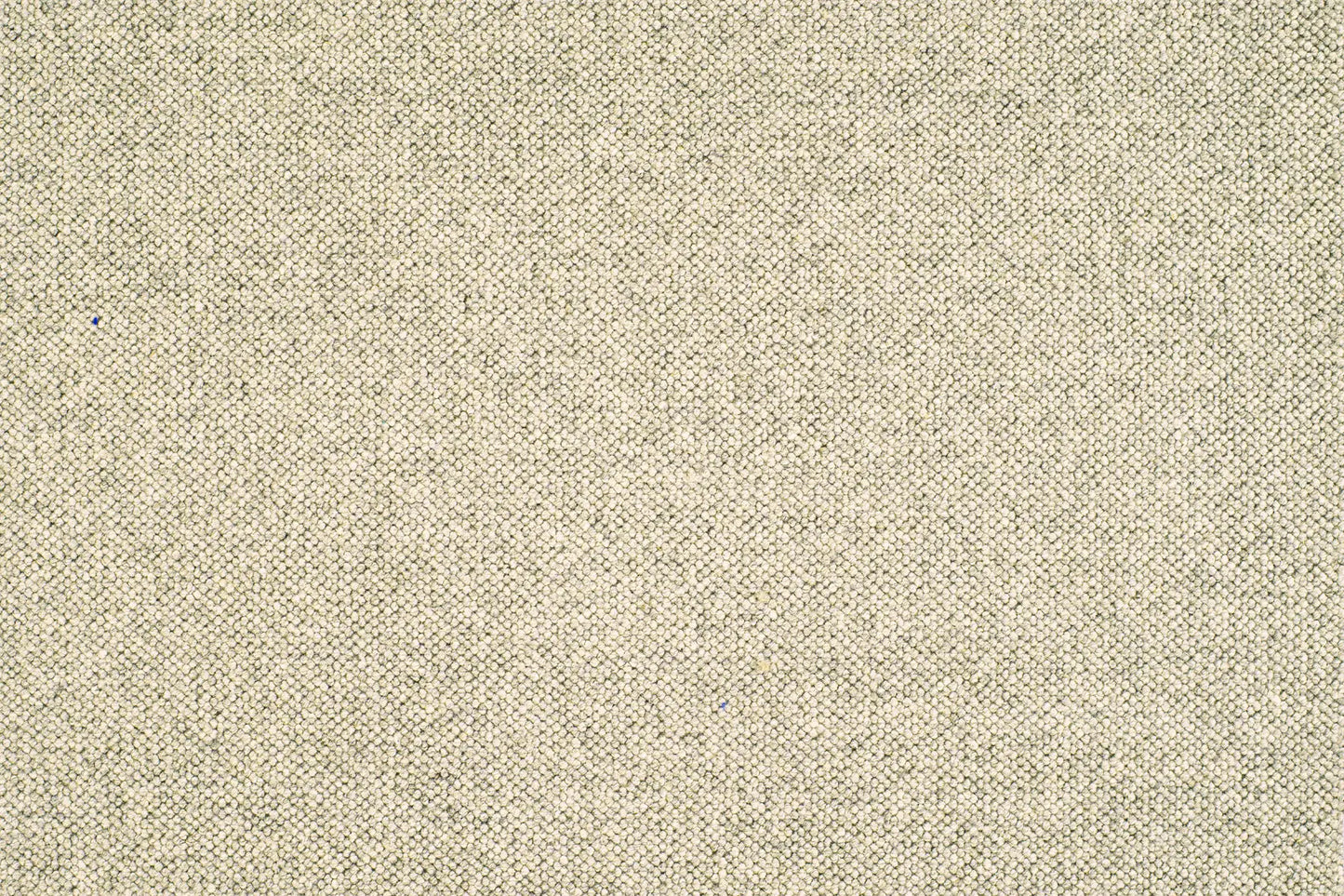 Jaro carpet in Arena
