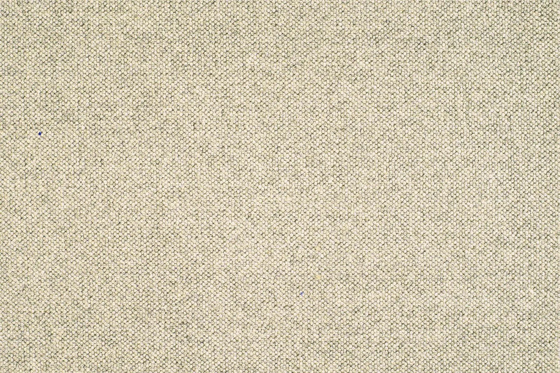 Jaro carpet in Arena