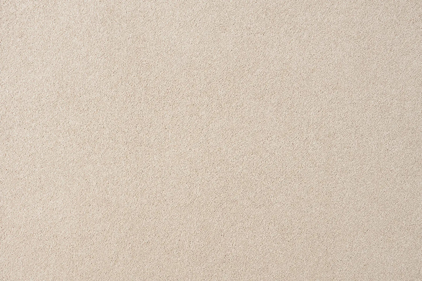 Aviva carpet in Indira
