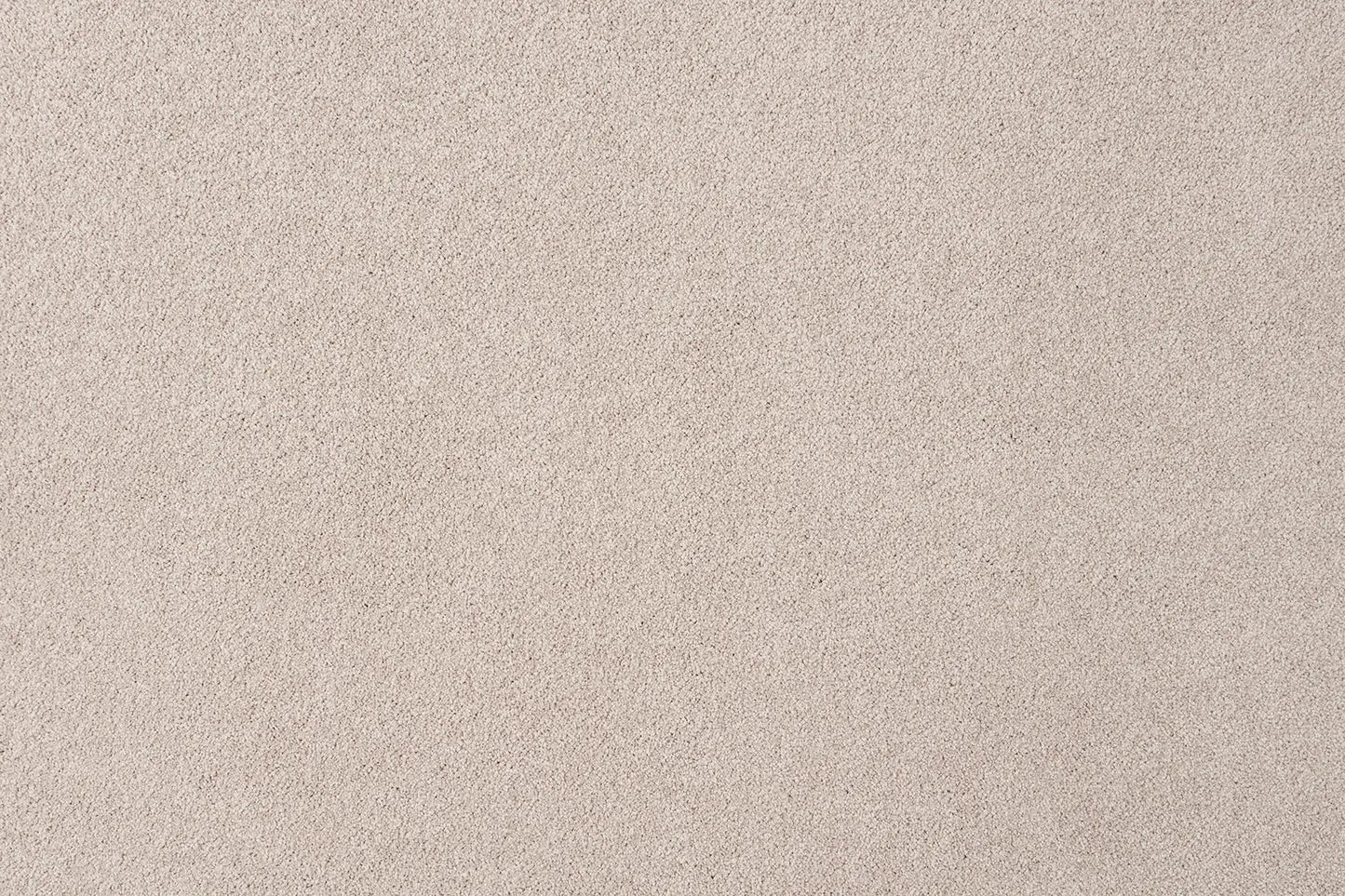 Aviva carpet in Kali
