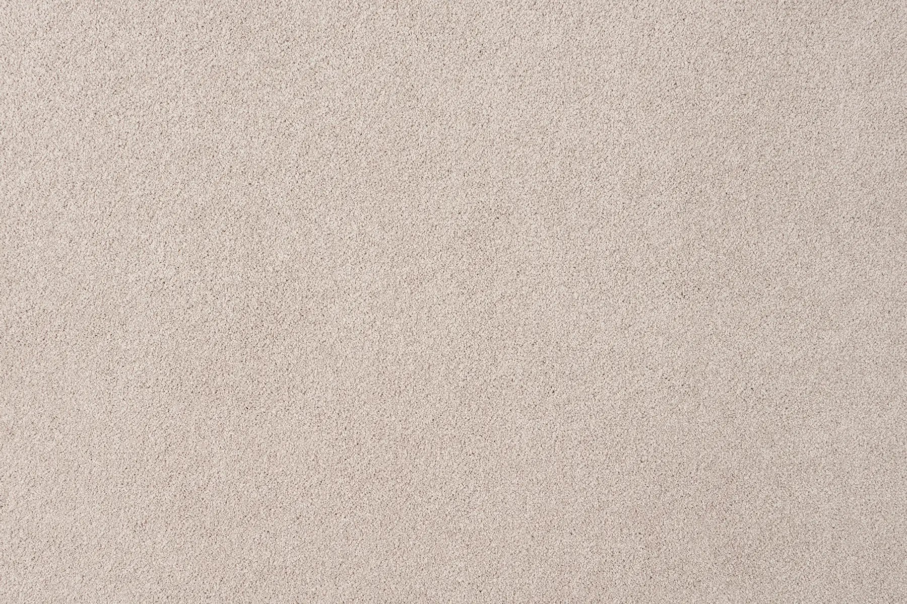 Aviva carpet in Kali