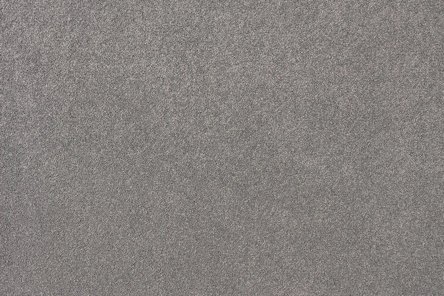 Aviva carpet in Malabar