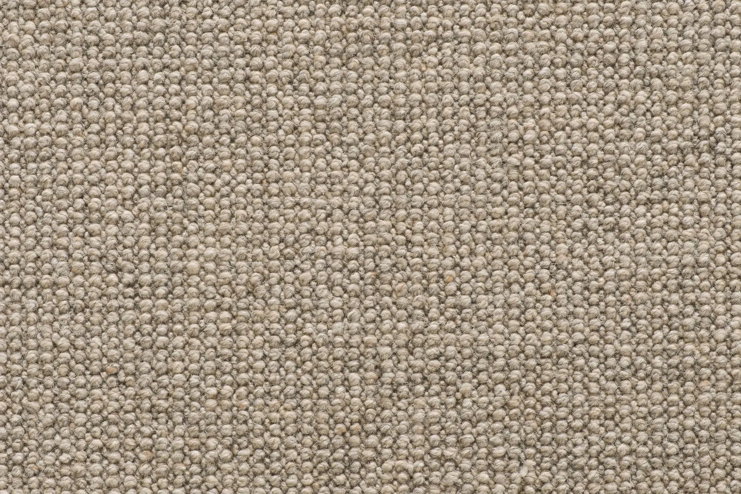 Brit carpet in Bramble