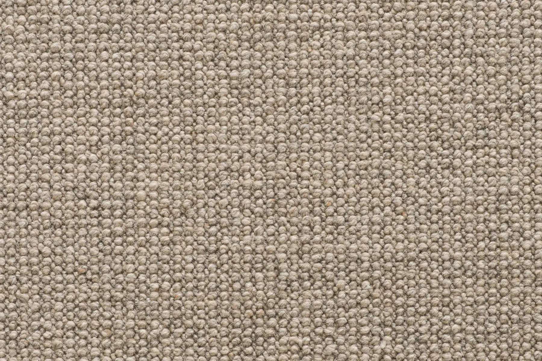 Brit carpet in Bramble