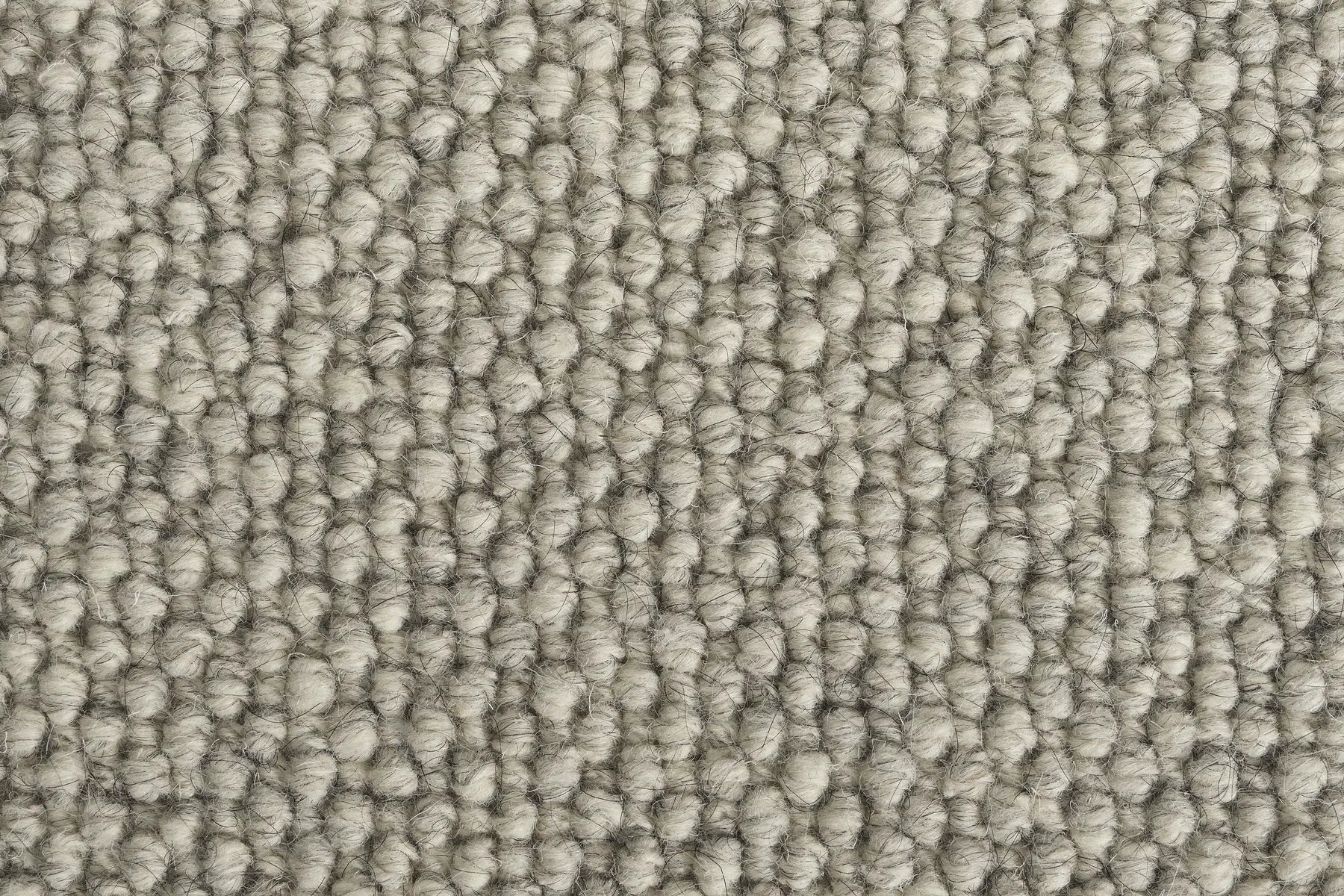 Beck carpet in Brook