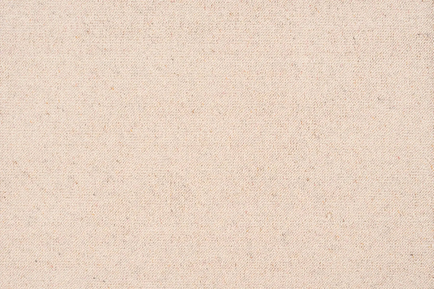 Mainland carpet in Cashew