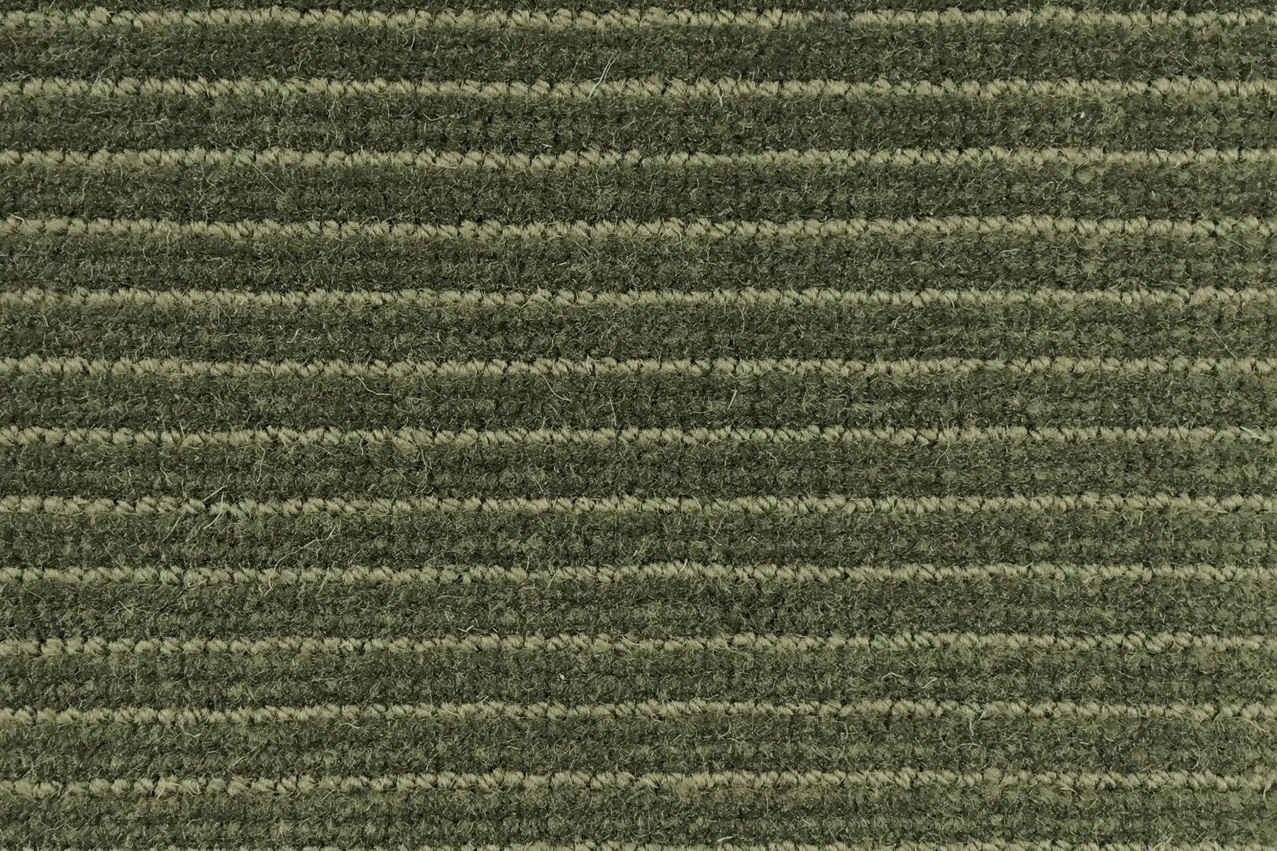 Era carpet in Chapter