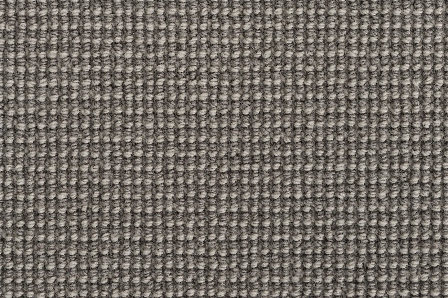 Alta carpet in Cliff